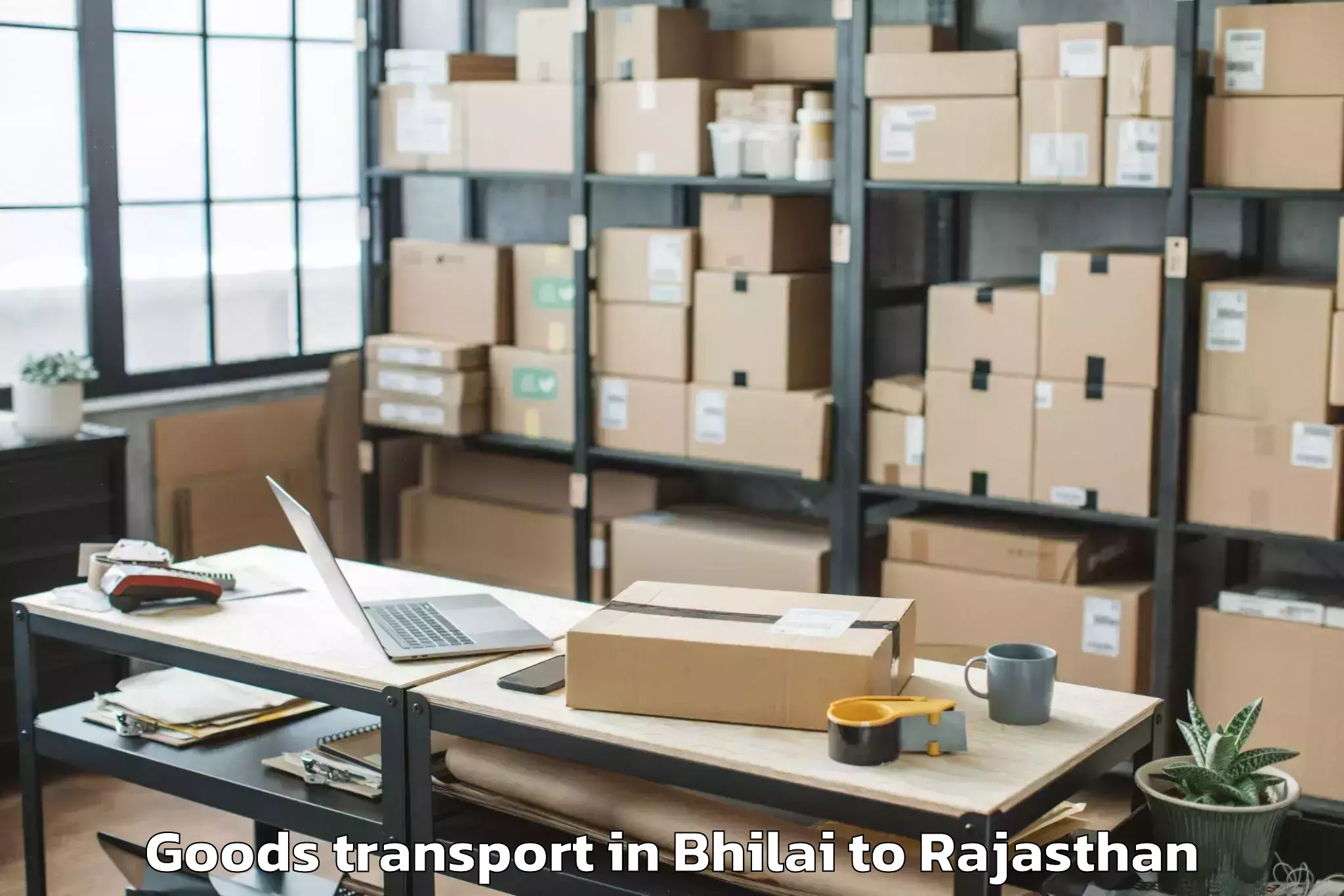 Comprehensive Bhilai to Thanagazi Goods Transport